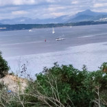 Visite de la nouvelle exposition de la Fondation Carmignac le 22 octobre 2024, suivie d'une randonnée à Porquerolles (11).jpg